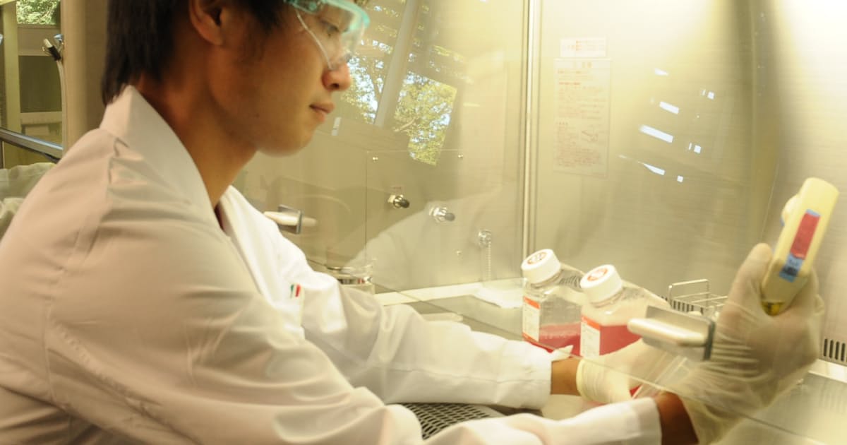 協和キリン 初の 親子逆転 日本経済新聞 協和キリン 初の 親子逆転 日本経済新聞