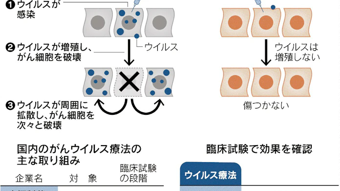がん破壊ウイルスに託す 日本経済新聞