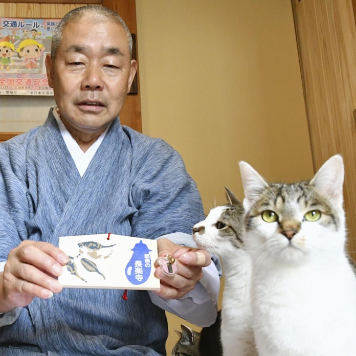 猫寺 ニャンとフォロワー21万人 栃木 長楽寺 日本経済新聞 猫寺 ニャンとフォロワー21万人 栃木 長楽寺 日本経済新聞