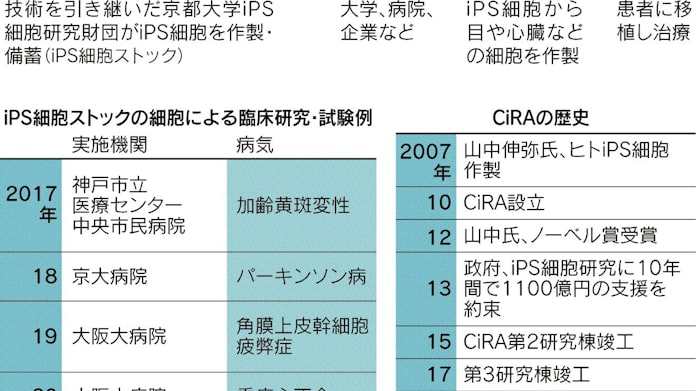 Ips 治療応用へ正念場 日本経済新聞 Ips 治療応用へ正念場 日本経済新聞