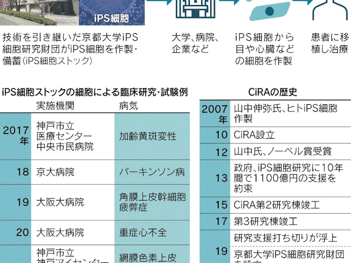 Ips 治療応用へ正念場 日本経済新聞 Ips 治療応用へ正念場 日本経済新聞