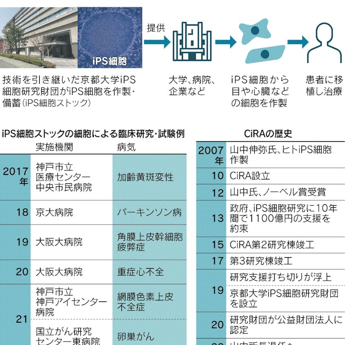 Ips 治療応用へ正念場 日本経済新聞 Ips 治療応用へ正念場 日本経済新聞