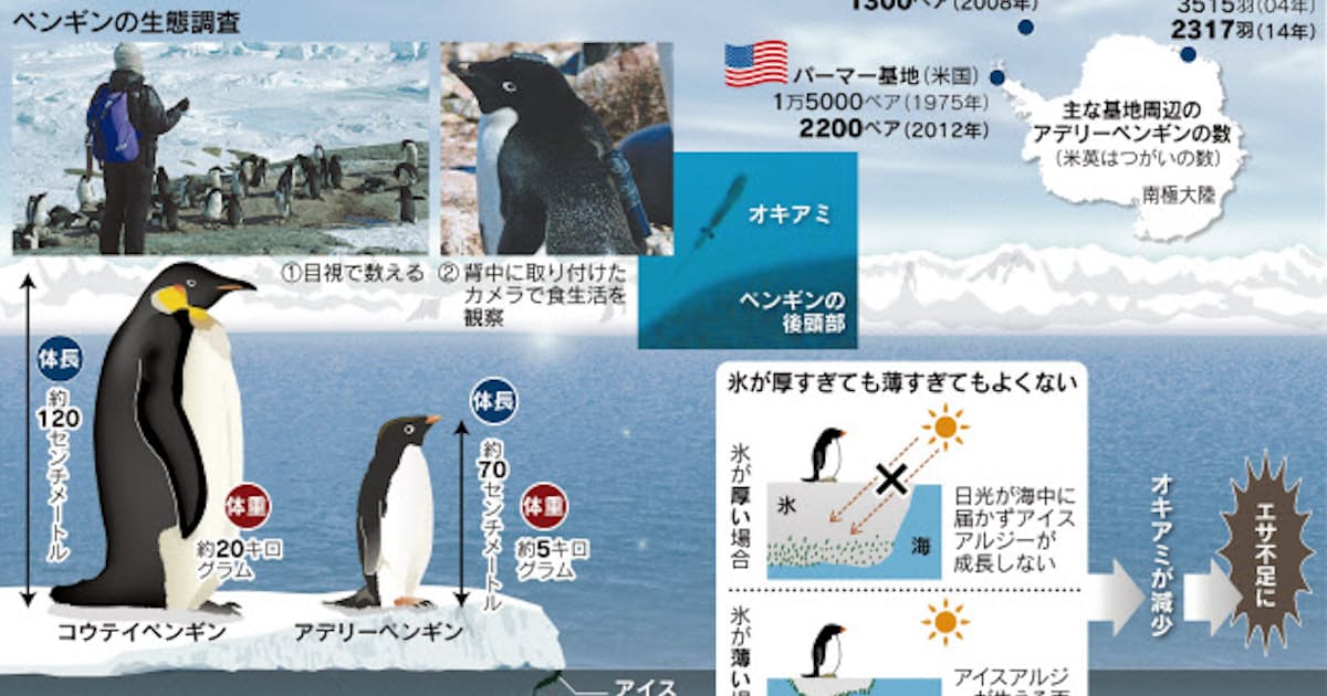 ペンギンの数 海氷が左右 日本経済新聞 ペンギンの数 海氷が左右 日本経済新聞