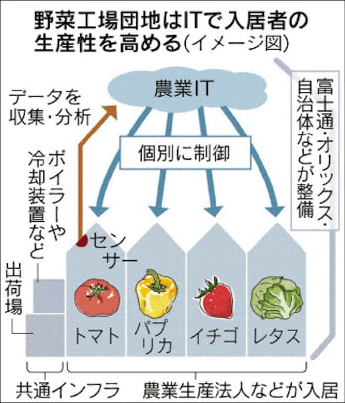 野菜工場の団地 展開 日本経済新聞