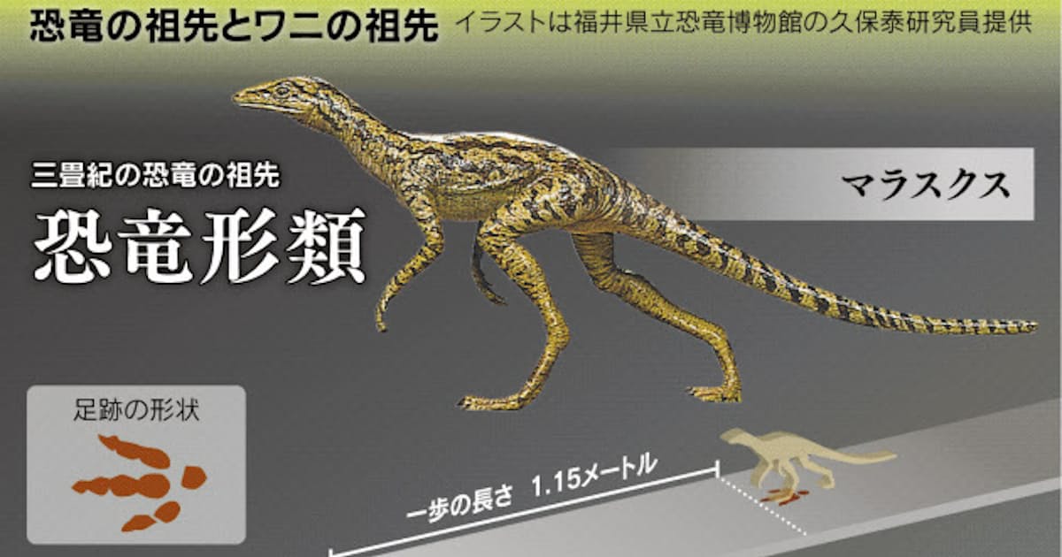 すたすた大股 新 恐竜像 日本経済新聞 すたすた大股 新 恐竜像 日本経済新聞