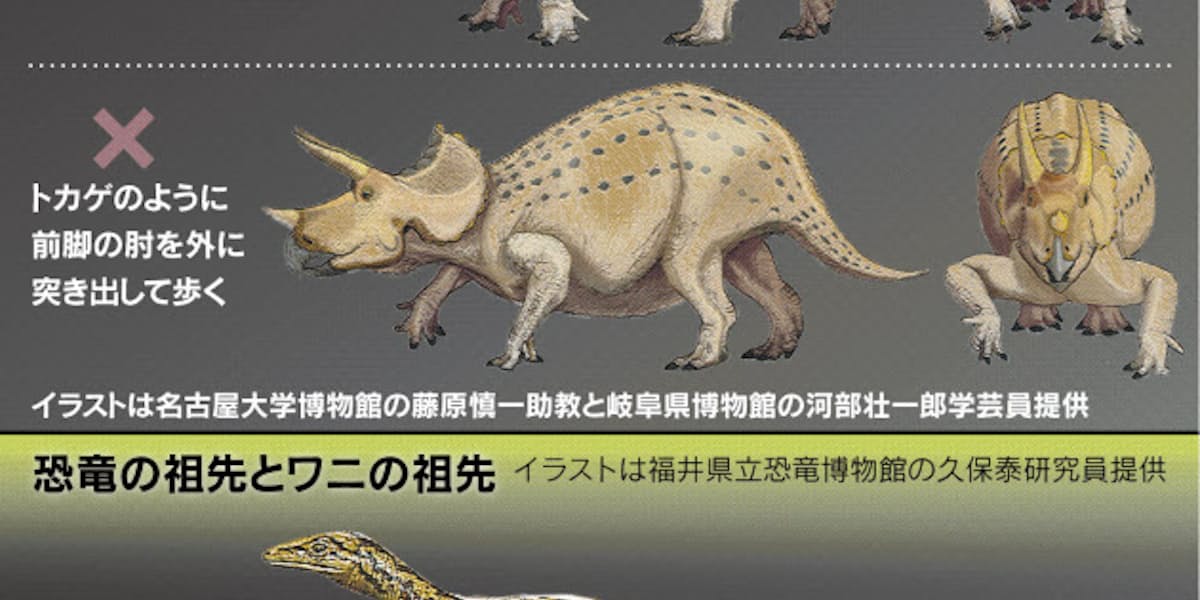 1000以上 ティラノサウルス 恐竜 足跡 イラスト