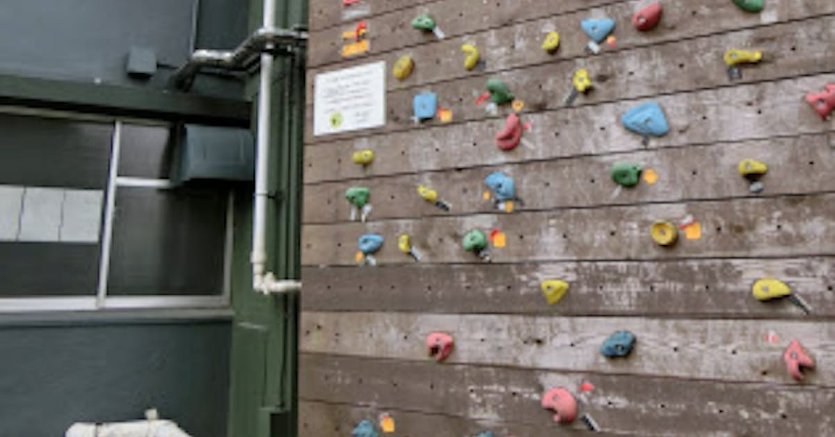 シェアハウス 趣味が大きな絆生む 日本経済新聞