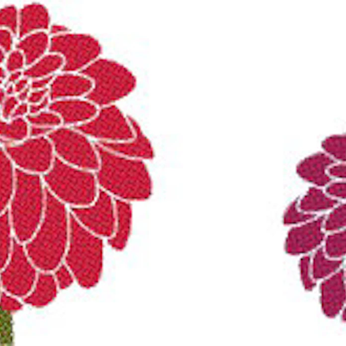 ダリア 元はメキシコの薬草 日本経済新聞 ダリア 元はメキシコの薬草 日本経済新聞