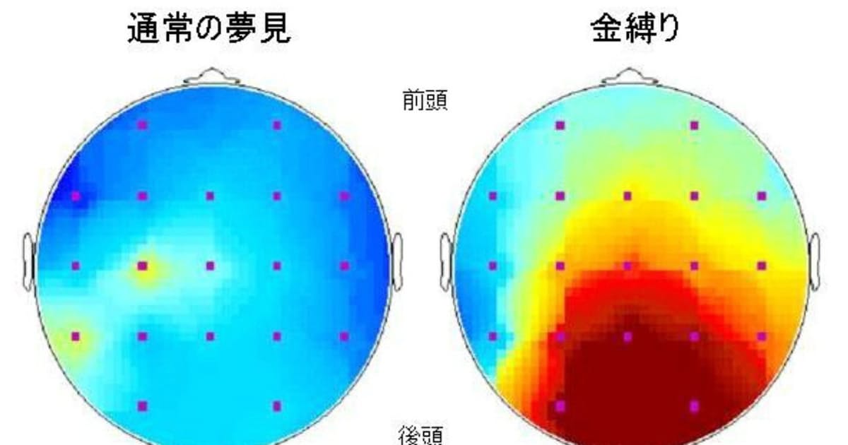 金縛りはどうして起きるの 日本経済新聞 金縛りはどうして起きるの 日本経済新聞