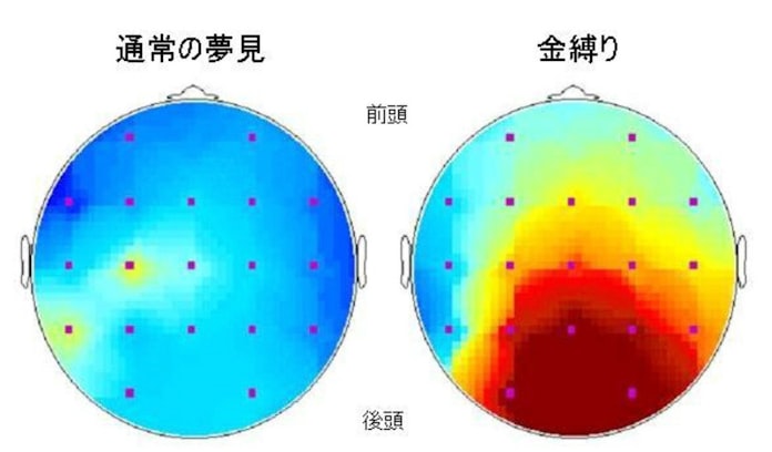 金縛りはどうして起きるの 日本経済新聞 金縛りはどうして起きるの 日本経済新聞