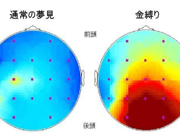 金縛りはどうして起きるの 日本経済新聞 金縛りはどうして起きるの 日本経済新聞