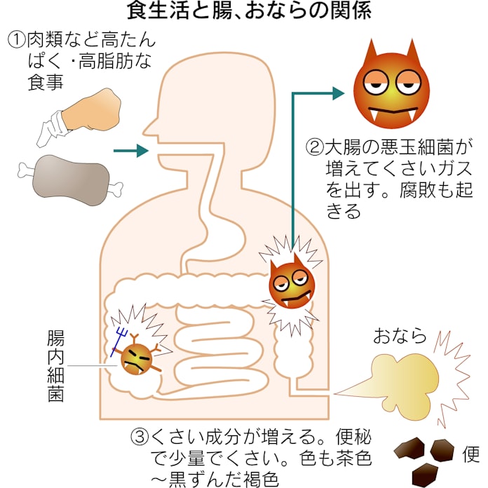 原因 ガス だまり 「牛がガスで倒れている？ その１」