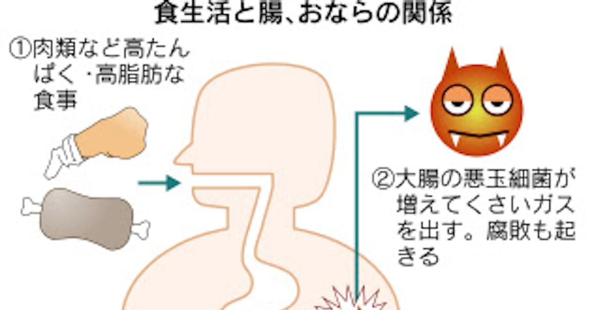 おならは腸の健康のバロメーター 日本経済新聞