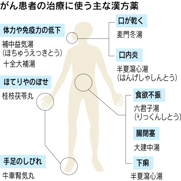 がん治療でも存在感 現代医療に広がる漢方 下 抗がん剤などと併用 副作用を軽減 Nikkei Style
