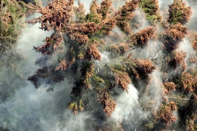 花粉症に勝つ 最新対策一気読み Nikkei Style 花粉症に勝つ 最新対策一気読み Nikkei Style