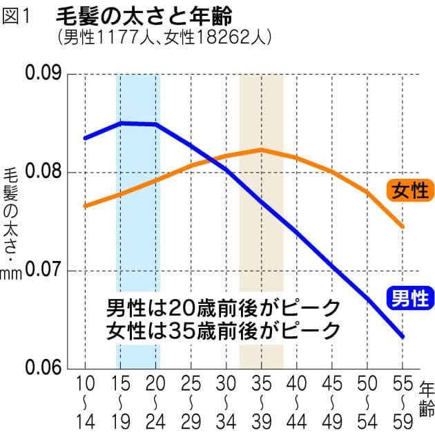 髪にもあった 曲がり角 ピーク年齢に驚きの男女差 Nikkei Style 髪にもあった 曲がり角 ピーク年齢に驚きの男女差 Nikkei Style