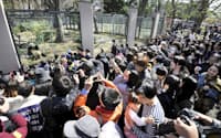 上野動物園で3年ぶりに公開されたジャイアントパンダ(左奥)を一目見ようと訪れた多くの人たち（1日午前、東京・台東）=共同