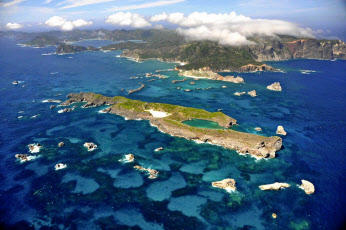 小笠原諸島 世界自然遺産に決定 固有の生態系評価 日本経済新聞