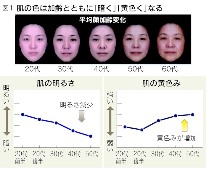 肌の色で年齢が分かる 加齢の新常識 日本経済新聞 肌の色で年齢が分かる 加齢の新常識 日本経済新聞