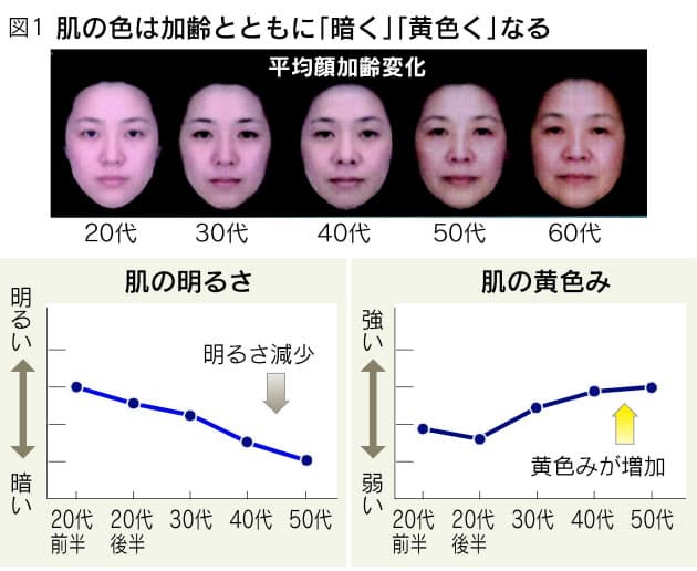 肌の色で年齢が分かる 加齢の新常識 Nikkei Style 肌の色で年齢が分かる 加齢の新常識 Nikkei Style