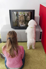 犬にしか聞こえない音でドッグフードcm ネスレ 日本経済新聞 犬にしか聞こえない音でドッグフードcm ネスレ 日本経済新聞