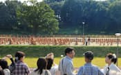 今春オープンした「いましろ大王の杜」公園。189点の形象埴輪が並び、古墳祭祀を再現する