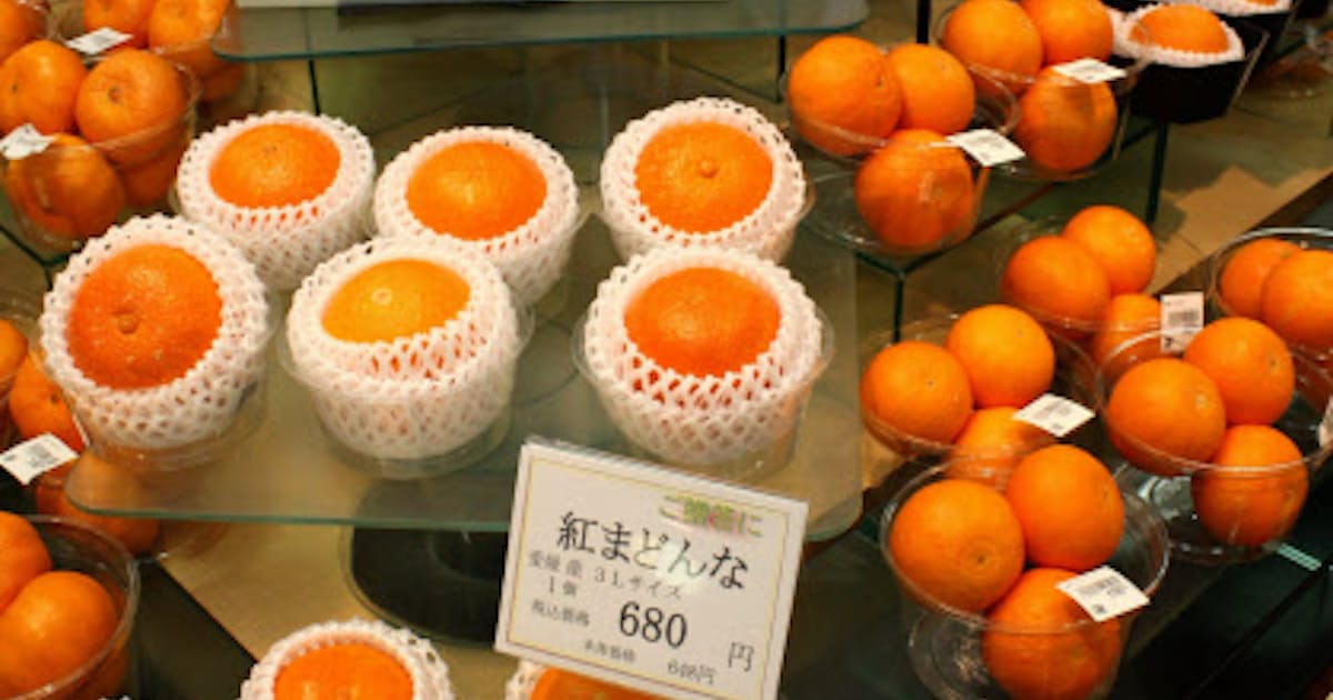 愛媛の新種ミカン 紅まどんな 食感はまるでゼリー 日本経済新聞 愛媛の新種ミカン 紅まどんな 食感はまるでゼリー 日本経済新聞