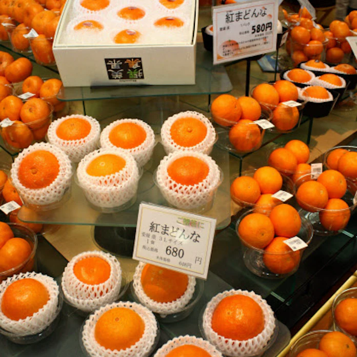 愛媛の新種ミカン 紅まどんな 食感はまるでゼリー 日本経済新聞 愛媛の新種ミカン 紅まどんな 食感はまるでゼリー 日本経済新聞