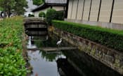かつて本願寺水道を使って琵琶湖の水を取り入れていた東本願寺の堀(京都市下京区)