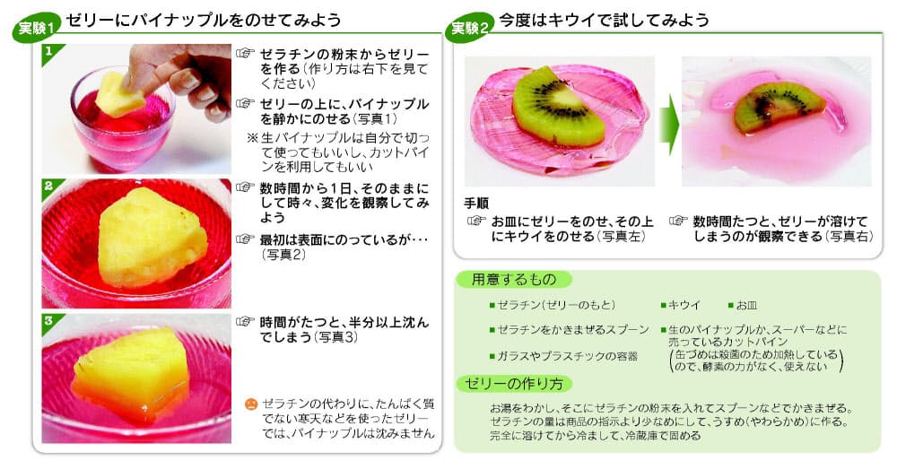 すぐできる自由研究 酵素の力試してみよう おうちで理科 セレクト集 1 Nikkei Style