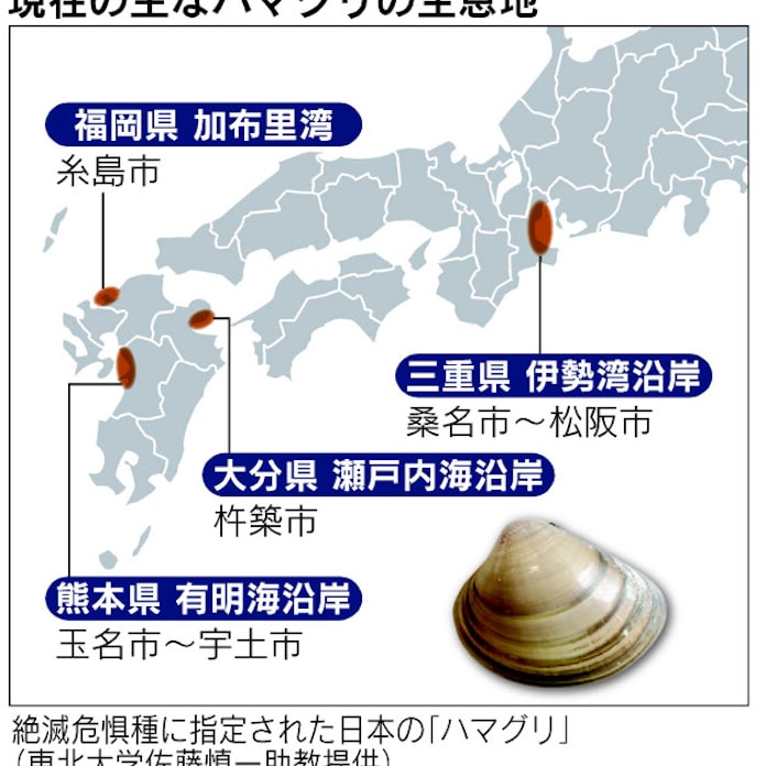 ハマグリ 絶滅危惧 指定 産地は困惑 日本経済新聞 ハマグリ 絶滅危惧 指定 産地は困惑 日本経済新聞