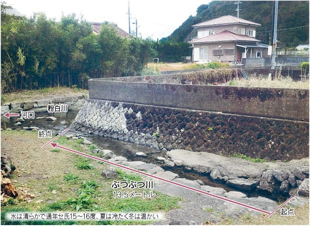13 5mでも 2級河川 和歌山に日本一短い川 Nikkei Style 13 5mでも 2級河川 和歌山に日本一短い川 Nikkei Style