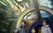 新装した魚津水族館の海中トンネル（16日、富山県魚津市）=共同