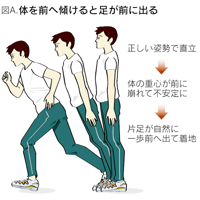 Fkhr Yszpjbrsm Fkhr Yszpjbrsm