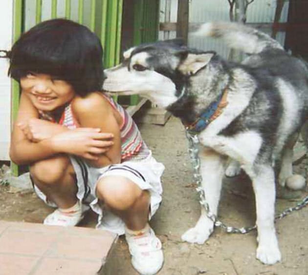 愛犬が教えてくれた 犬が草を食べるワケ Nikkei Style 愛犬が教えてくれた 犬が草を食べるワケ Nikkei Style