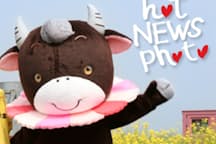 身長順で決まった配役 着ぐるみの中から子どもを見つめ続けた35年 Nikkei Style 身長順で決まった配役 着ぐるみの中から子どもを見つめ続けた35年 Nikkei Style