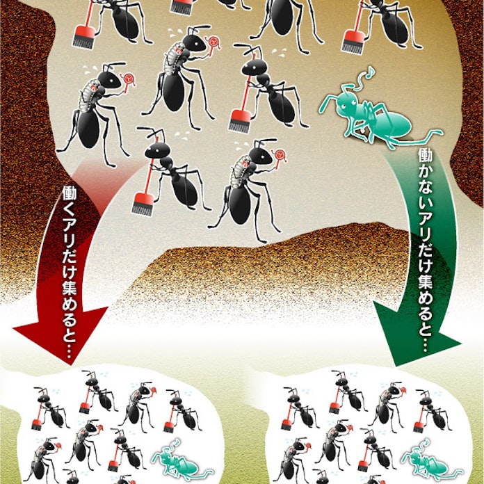 働かないアリ あえて怠け者役 有事に強い多様な組織 日本経済新聞