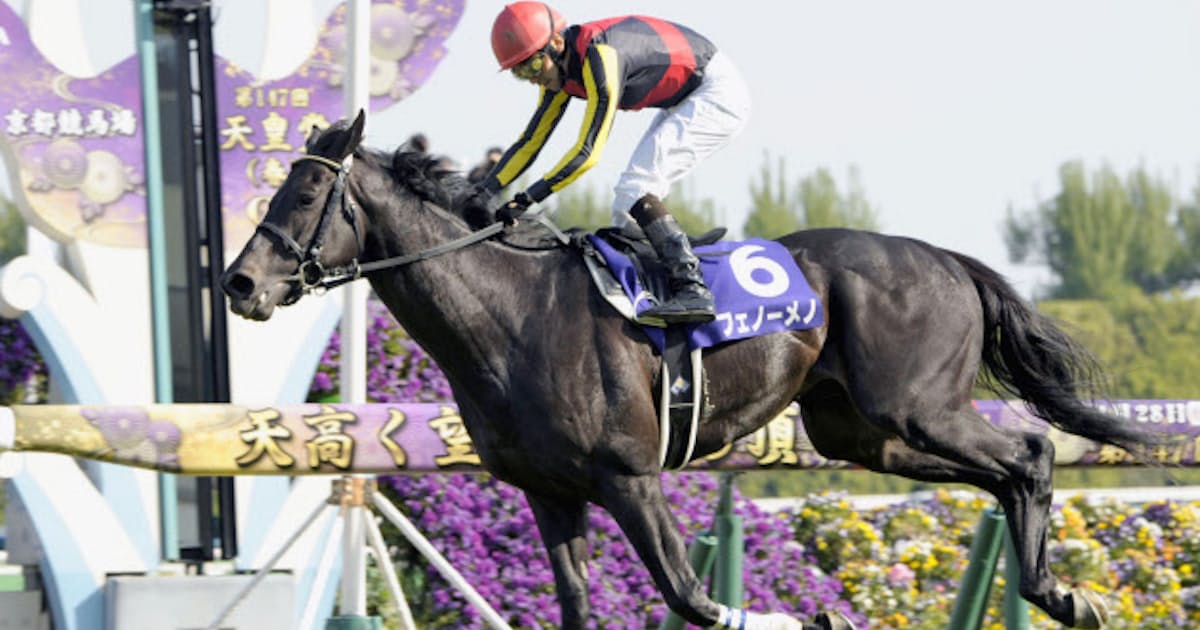 天皇賞 フェノーメノg1初v 2着トーセンラー 日本経済新聞 天皇賞 フェノーメノg1初v 2着トーセンラー 日本経済新聞