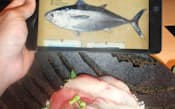 「近大卒」の養殖魚をまんべんなく使った海鮮丼。タブレットの解説付きで