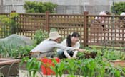 働く女性が手軽に野菜作りを楽しめる駅ビルの屋上菜園「ソラドファーム恵比寿」(東京都渋谷区)