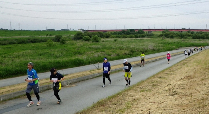 疲労こんぱい 人生最長記録のウルトラマラソン 日本経済新聞