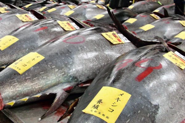 日本でおいしいマグロが食べられる理由 Nikkei Style 日本でおいしいマグロが食べられる理由 Nikkei Style