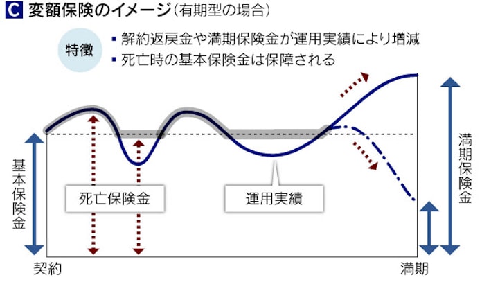 保険で運用 定額か変額か 低金利時代の選び方 日本経済新聞