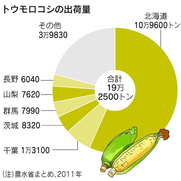 英語では Maize メイズ がトウモロコシを指す トウモロコシの粒の数は必ず偶数 Nikkei Style 英語では Maize メイズ がトウモロコシを指す トウモロコシの粒の数は必ず偶数 Nikkei Style