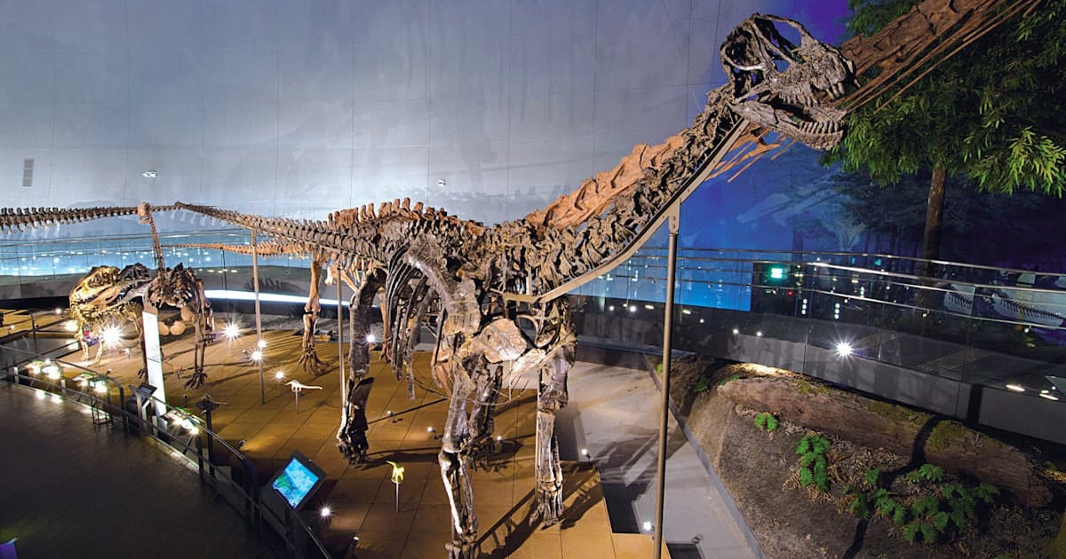 地球史上最大の絶滅事件 に新説 2億5000万年前の謎 日本経済新聞