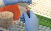 本社にあるラボに、遺伝子診断を受けるため、患者の血液などが入った検査キットが送られてくる