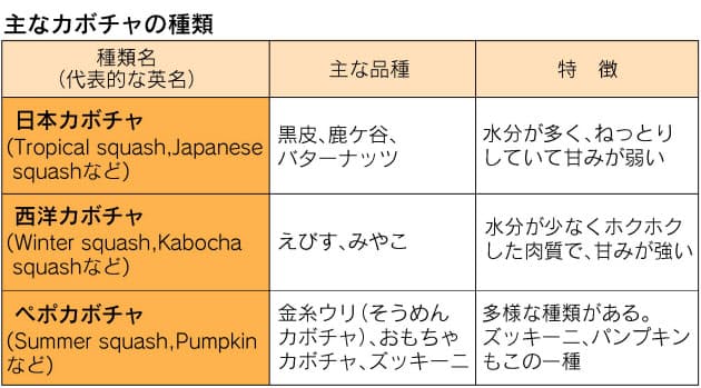 日本のカボチャは パンプキン ではない Nikkei Style 日本のカボチャは パンプキン ではない Nikkei Style