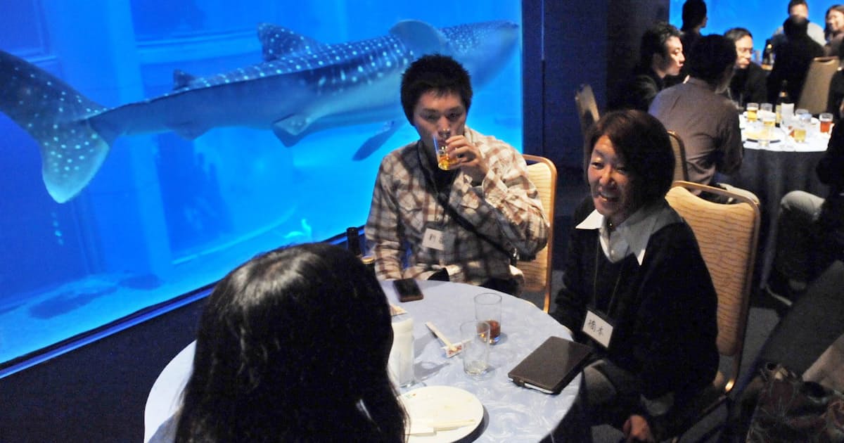 きゃりーぱみゅぱみゅも夢中 サメって案外カワイイ 日本経済新聞