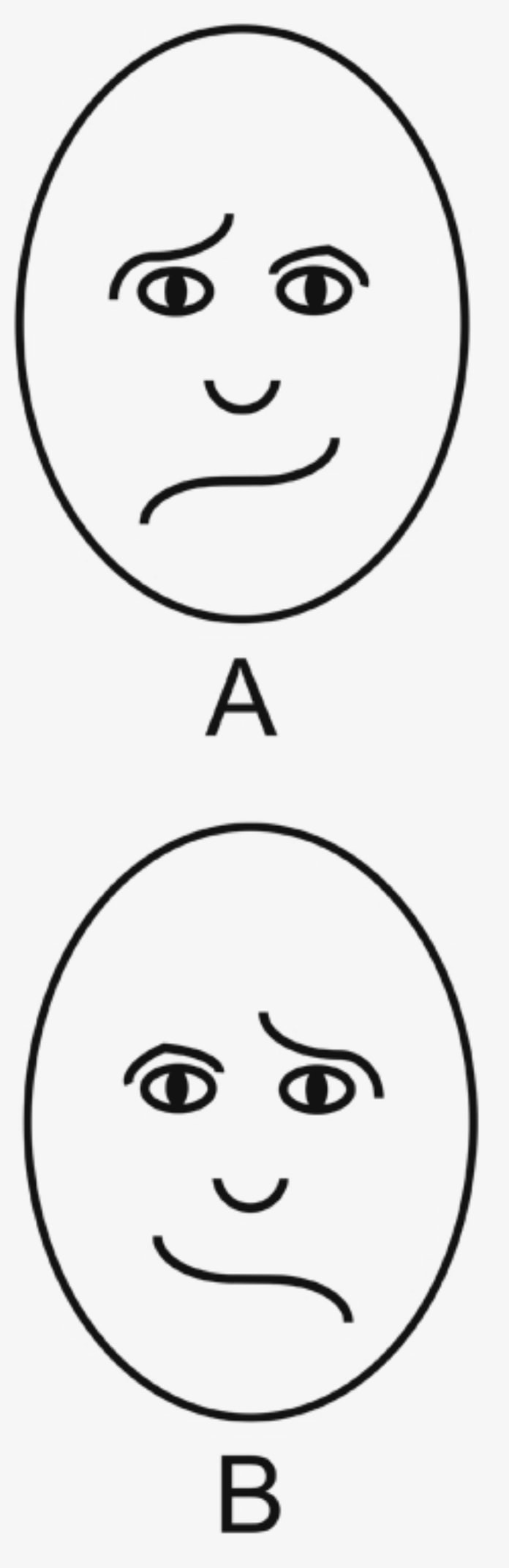 幽霊は脳で見る 超常現象の不思議 日本経済新聞