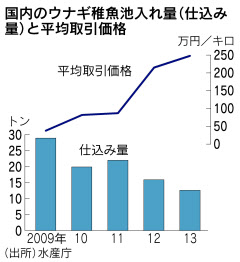 ウナギ養殖量を制限 日中台韓 稚魚乱獲歯止め 日本経済新聞